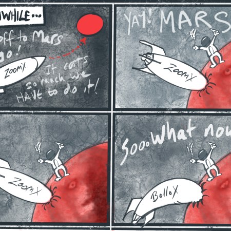 A four-panel satirical comic strip titled "MEANWHILE...", offering a critical take on Elon Musk's space ambitions. The comic is drawn in a gritty, textured art style with handwritten text. Panel 1 (Top Left): Set against a dark, starry grey background. A sleek, white rocket labelled "ZoomX" flies upwards towards a bright red circle representing Mars, indicated by a dotted red arrow. In the top left corner, a box reads "MEANWHILE...". Below it, handwritten text reads: "It's off to Mars we go! It costs so much we HAVE to do it!" Panel 2 (Top Right): The "ZoomX" rocket has crashed nose-first into the surface of a large, red, textured Mars. Standing triumphantly on the curved surface of the planet next to the crash site is Elon Musk in a white spacesuit. He is cheering, holding a smoking cannabis joint in one hand and a bottle of whisky in the other. The text above reads, "YAY! MARS!" Panel 3 (Bottom Left): The exact same visual scene as Panel 2, but all the text has been removed. Elon Musk continues to stand on the Martian surface with his joint and whisky next to the crashed rocket, creating a silent, awkward pause. Panel 4 (Bottom Right): The scene changes slightly to deliver the punchline. Elon Musk remains standing in the same position, but the text in the sky now reads, "Soo.. what now?" Meanwhile, the text on the side of the crashed, deflating rocket has changed from "ZoomX" to "Bollox". The artist's signature, "page", is written in the bottom right corner.